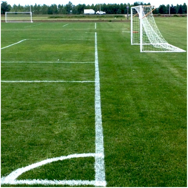 custom-lining-soccer-field